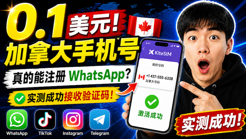 海外号码怎么选？实体SIM、eSIM、接码平台、APP号码全面对比｜附0.1美元加拿大手机号教程（2026）|智创宝库资源站
